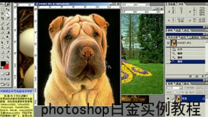 photoshop白金实例教程